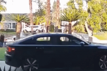 在洛杉矶县北岭，一名男子在自家门口遭枪手袭击，该男子试图开车引走枪手，二人开始追逐。（匿名受害者）