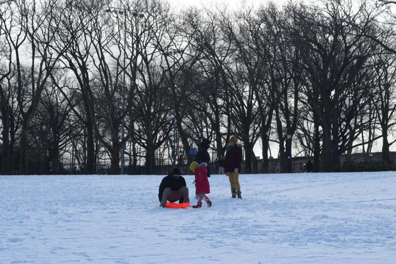 布碌崙日落公園被大雪覆蓋華人家庭共享雪天時光 紐約焦點 紐約 世界新聞網
