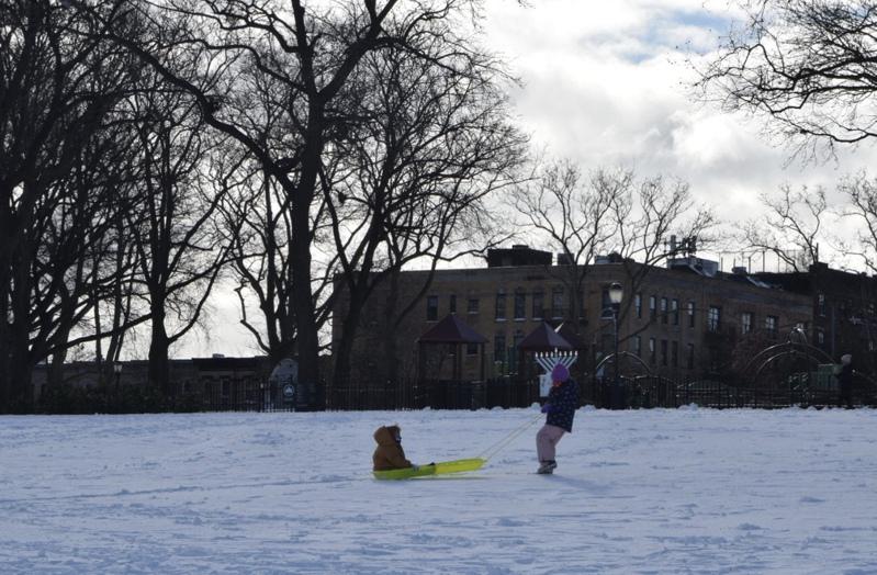 布碌崙日落公園被大雪覆蓋華人家庭共享雪天時光 紐約焦點 紐約 世界新聞網
