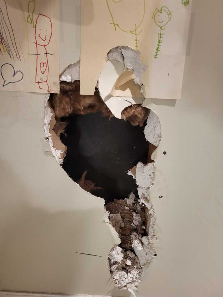 竊賊砸開了房屋的牆壁，並偷走了裡面的保險箱。（Nextdoor T.T）