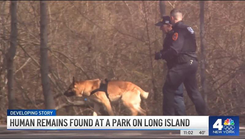 纽约长岛公园惊见5人体部位至少2死者 警扩大搜索