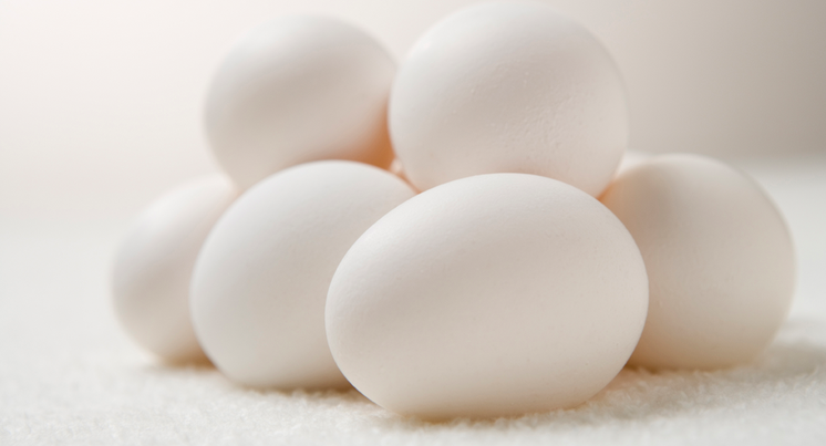 每日1蛋增加免疫力董氏基金会 保存鸡蛋注意5原则 养生保健 健康 世界新闻网