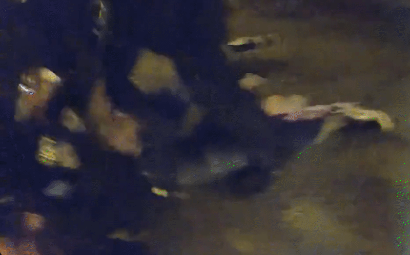 警方公布尼科爾斯本月初被警方毆打致死的視頻，事發當時為20：33。（視頻截圖）