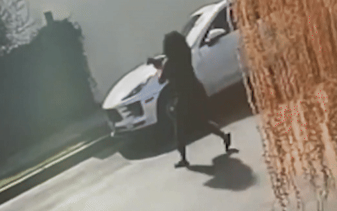 砖块砸碎多辆汽车挡风玻璃 洛杉矶非裔女被捕