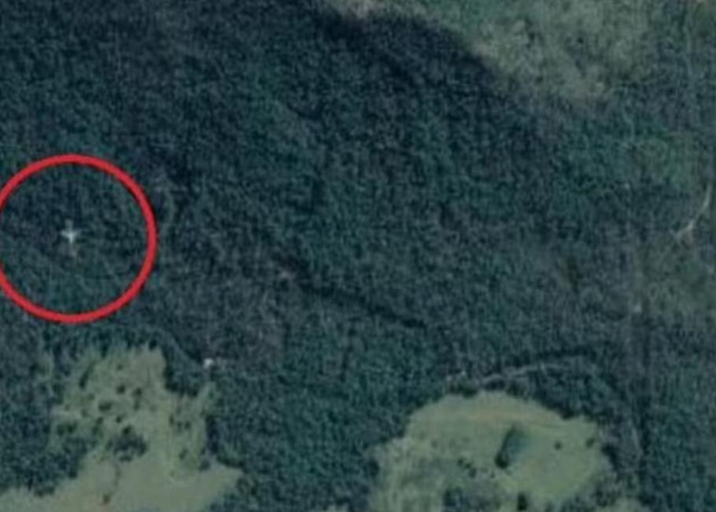 Google地图服务过去不时会出现「幽灵图像」，近日又有眼尖的网友发现在澳洲昆士兰北部雨林中出现一架「疑似坠落的客机」。 （取材自Google Map）