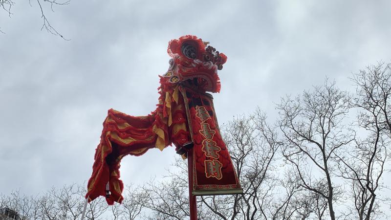 第25届「纽约新春炮竹文化节」22日在曼哈顿华埠举办。 （记者和钊宇/摄影）