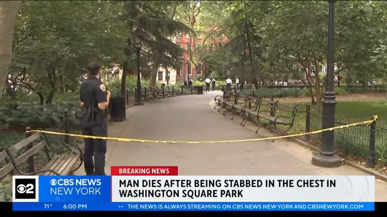 光天化日下 男子在纽约华盛顿广场公园被刀刺死