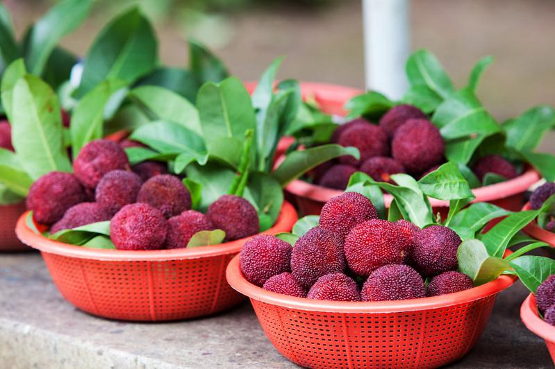 一磅近60元，原產在亞洲的楊梅、在灣區種植成功，成為灣區目前最貴水果。(取自Getty Images)
