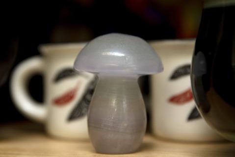 全美首家 俄勒岡出現「神奇蘑菇」治療所 不須處方箋