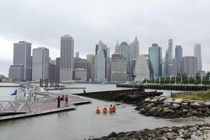 威廉王子參觀紐約市的「十億牡蠣計畫」時，與該組織成員一起步入水中，背景是曼哈頓下...