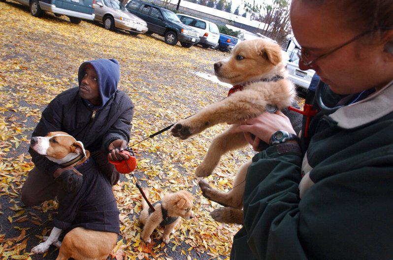 舊金山「獸醫街頭外展服務」，免費為無家可歸者的寵物提供的服務，可為主人節省數千美元。（美聯社）
