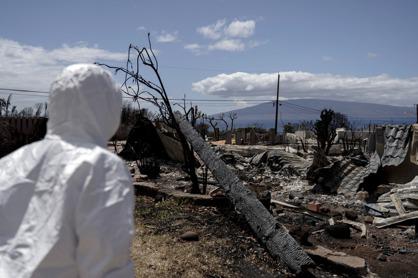 夏威夷茂宜島野火災區一位居民26日首度回到曾是家的地點，但已是一片焦黑。(美聯社)