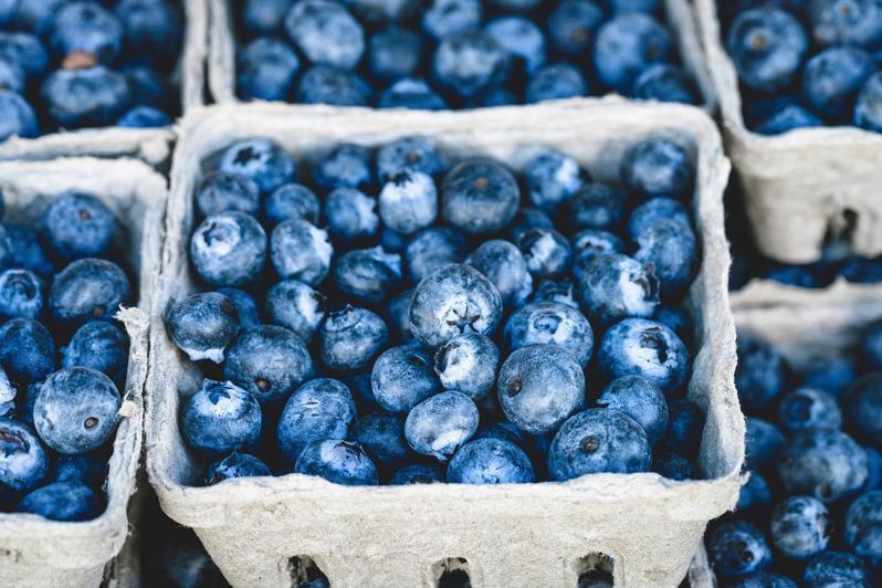 藍莓。Image by Beth Thomas from Pixabay