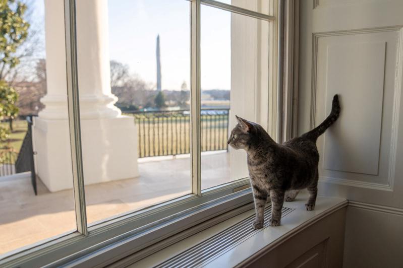 Vera is thinking near the window.  (Reuters)